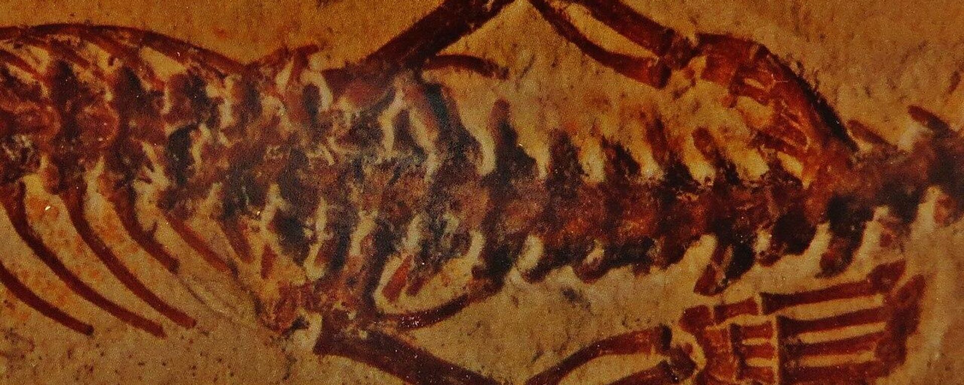 Detaljan prikaz fosila zmije sa četiri noge - Sputnik Srbija, 1920, 27.05.2022