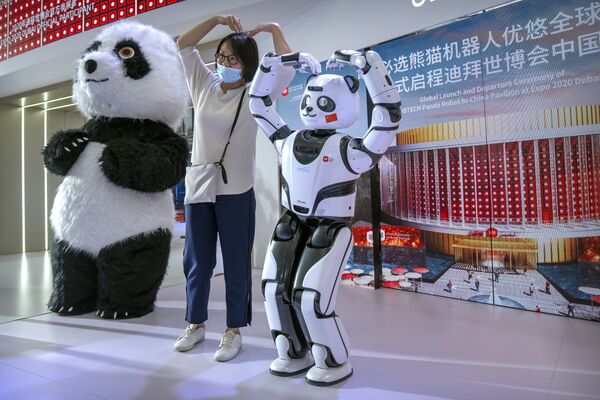 Panda robot na Svetskoj konferenciji robota u Pekingu. - Sputnik Srbija