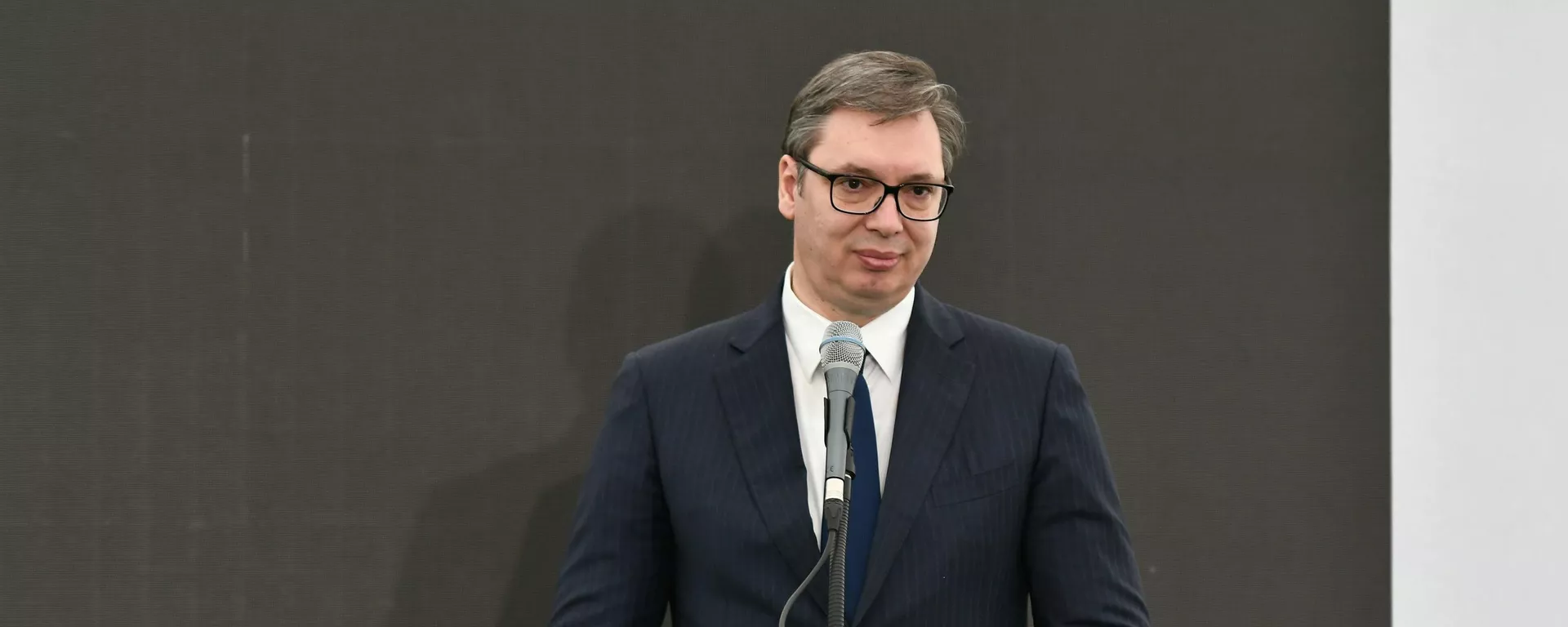 Predsednik Srbije Aleksandar Vučić - Sputnik Srbija, 1920, 15.12.2021