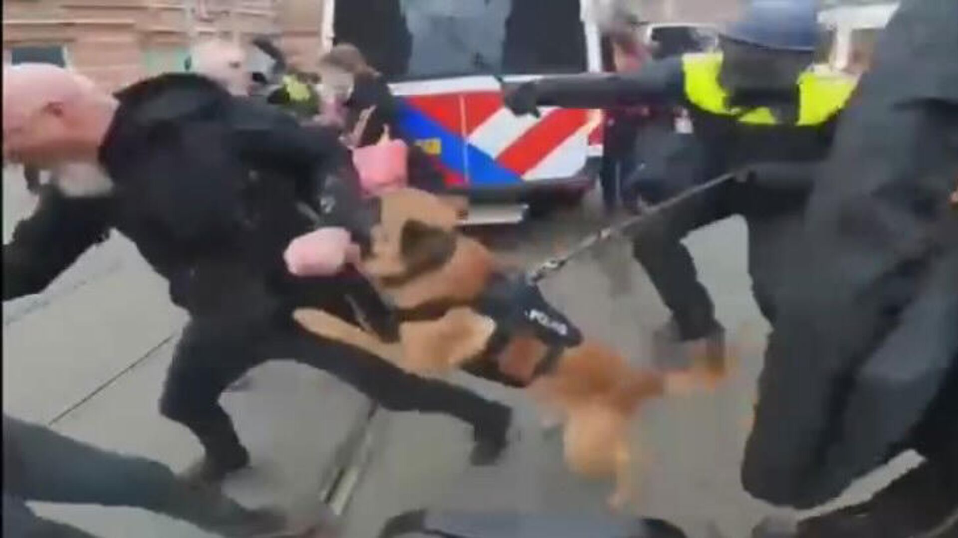 Пас напао демонстранта у Холандији - Sputnik Србија, 1920, 02.01.2022