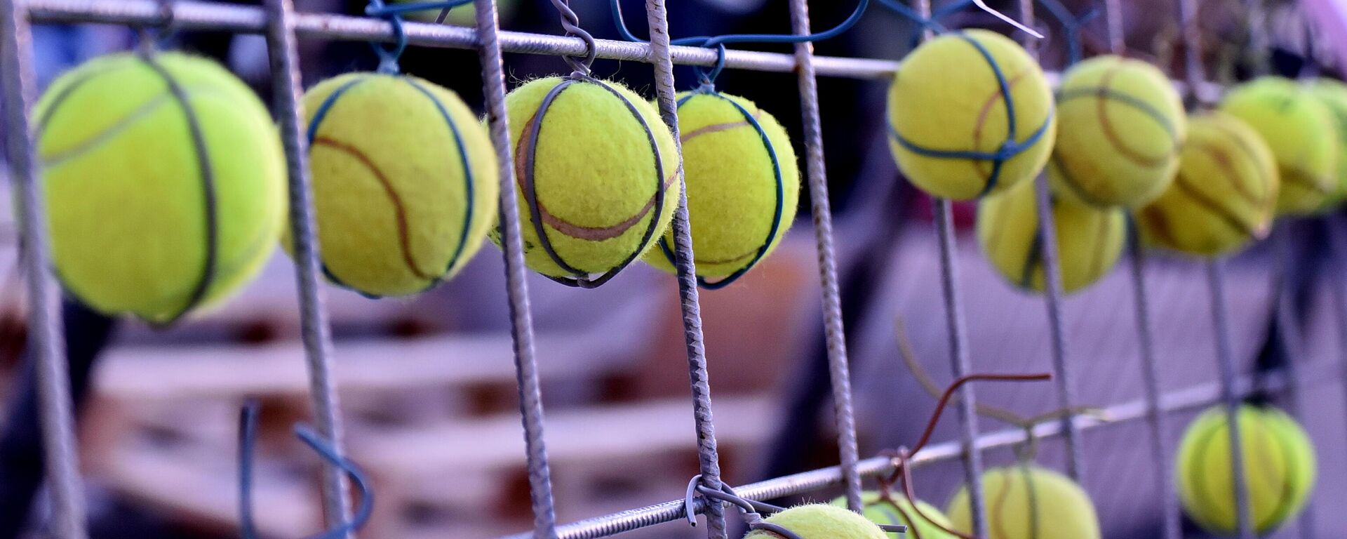 Тениске лоптице - Sputnik Србија, 1920, 10.03.2026