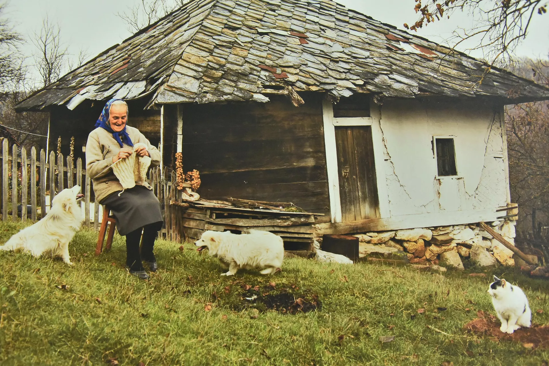 Moja Srbija – izložba fotografija Stanka Kostića Moja Srbija – izložba fotografija Stanka Kostića - Sputnik Srbija, 1920, 19.01.2022