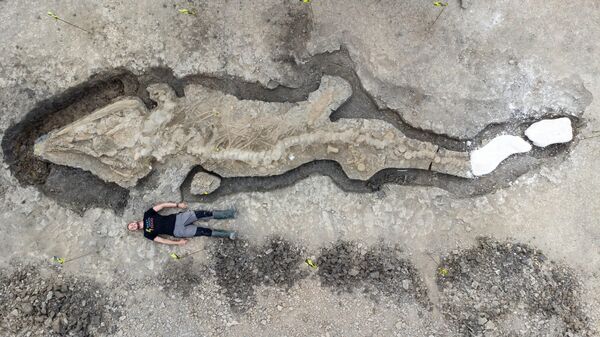 U Engleskoj otkriven fosil džinovskog „morskog zmaja“ - Sputnik Srbija
