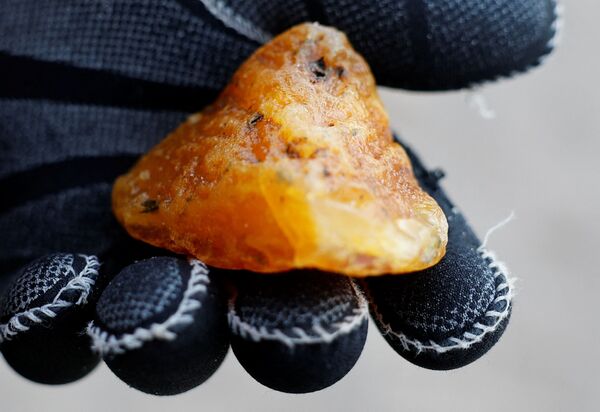 Lovac na ćilibar drži kamen koji je pronađen na obali Baltičkog mora u gradu Pionirski u Kalinjingradskoj oblasti 18. januara 2022. godine. - Sputnik Srbija