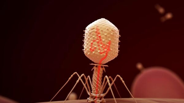 Бактериофаг, вирус који може да зарази и убије бактерију - Sputnik Србија