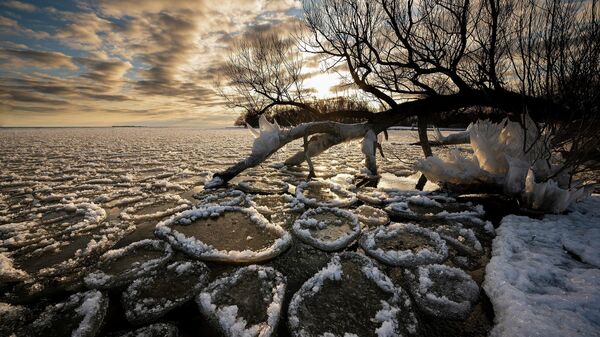 Ледене палачинке на језеру - Sputnik Србија