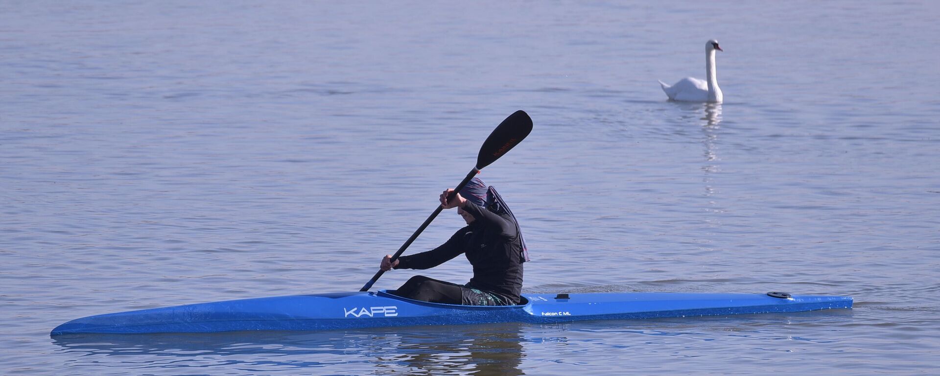 Kajakaš i galeb na Dunavu - Sputnik Srbija, 1920, 23.09.2025