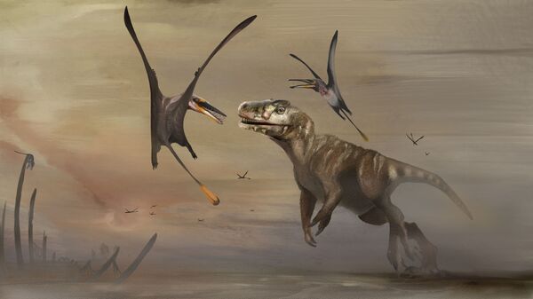 Pterosaurus, čiji je fosil, star oko 170 miliona godina, pronađen na škotskom ostrvu Skaj - Sputnik Srbija