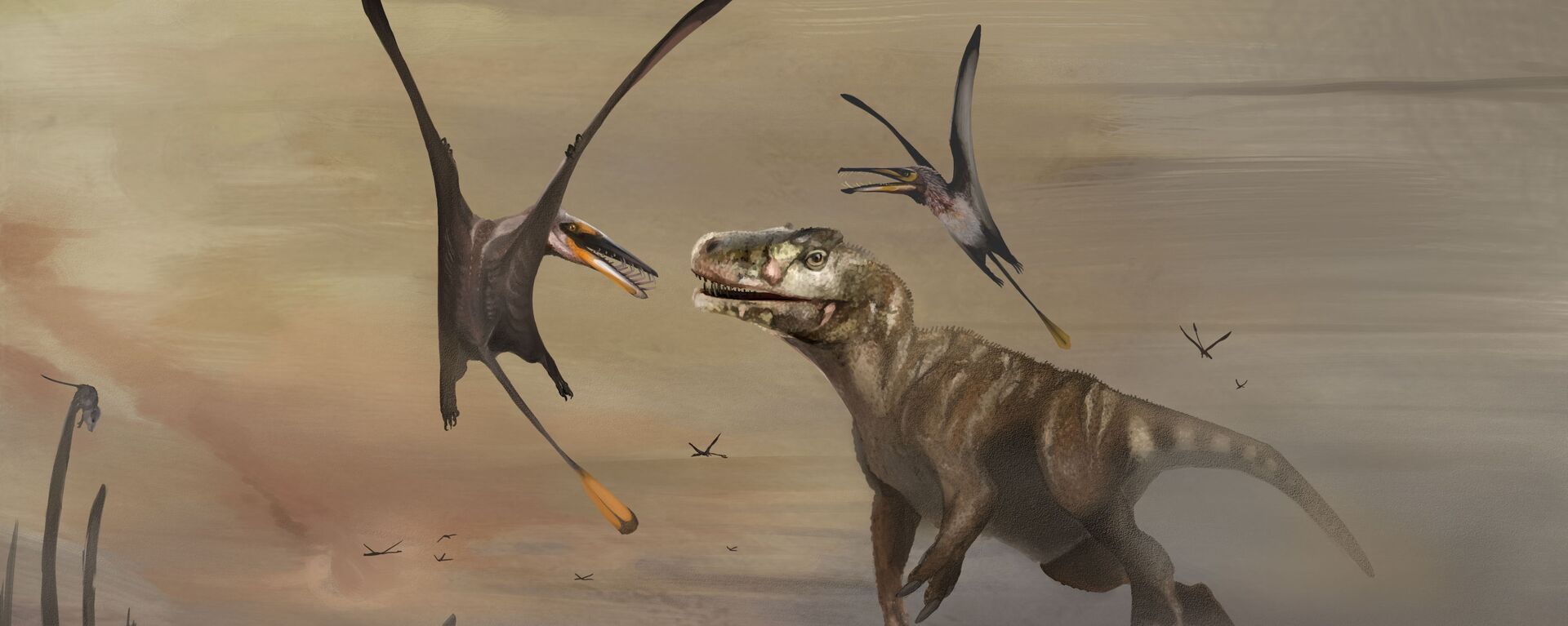 Птеросаурус, чији је фосил, стар око 170 милиона година, пронађен на шкотском острву Скај - Sputnik Србија, 1920, 26.02.2022