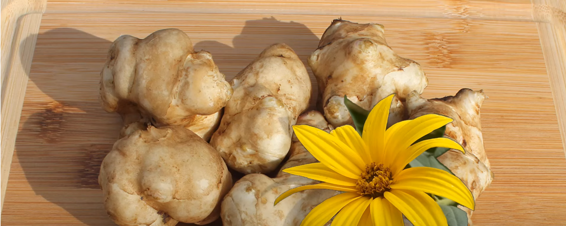 Чичока - Sputnik Србија, 1920, 02.03.2022