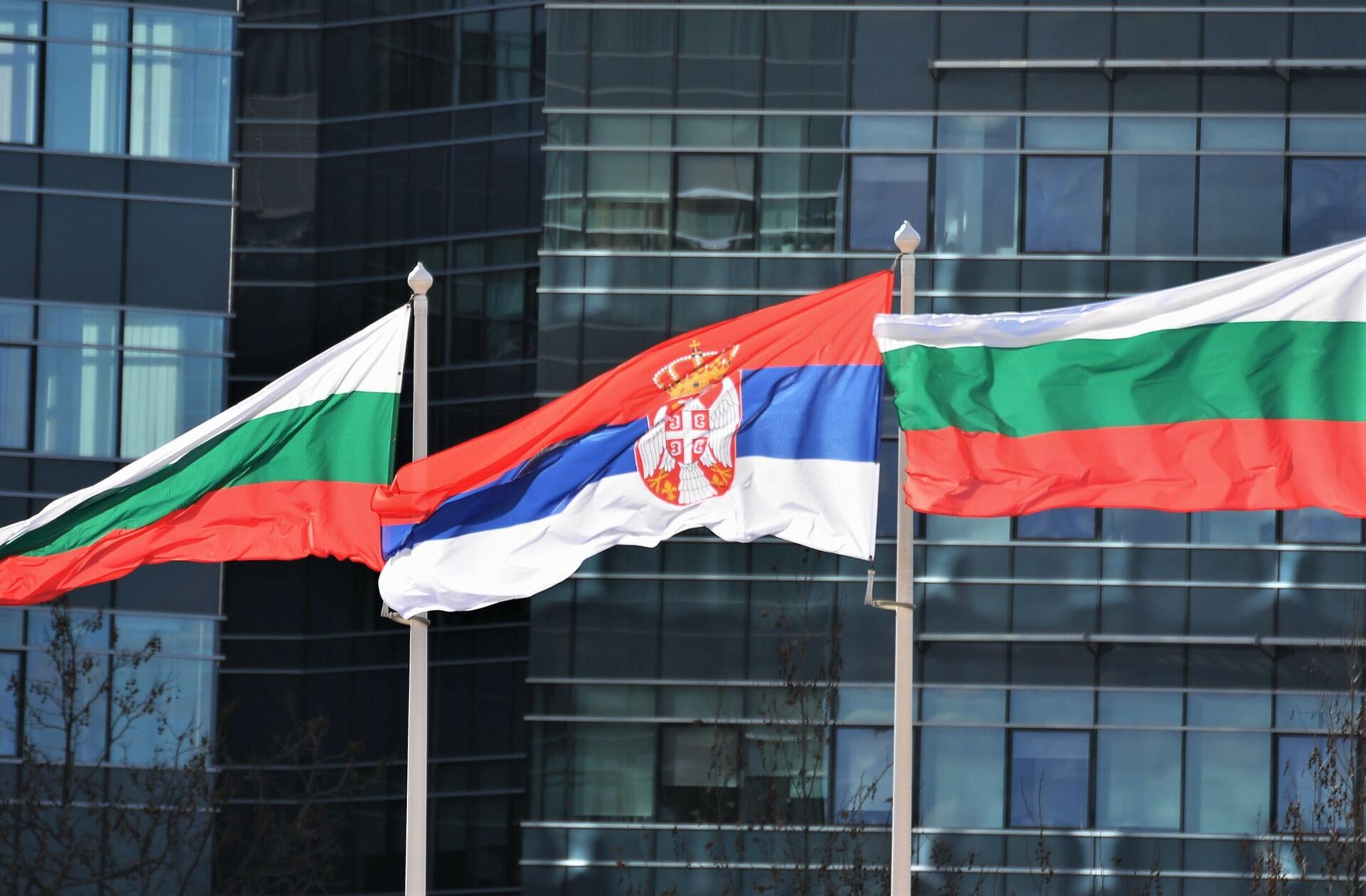 Bugarska i srpska zastava Bugarska i srpska zastava - Sputnik Srbija, 1920, 21.10.2025