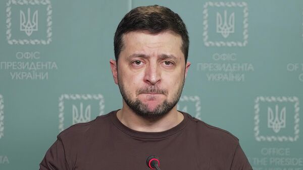 Predsednik Ukrajine Vladimir Zelenski - Sputnik Srbija