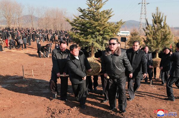 Лидер Северне Кореје сади дрвеће са учесницима 2. конференције секретара примарних комитета Радничке партије Кореје. - Sputnik Србија