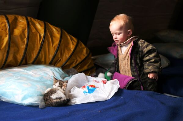 Дете избеглица из Маријупоља у школи која служи као пункт прве помоћи за евакуисано становништво, који је организовало Министарство за ванредне ситуације ДНР у Новоазовском рејону.  - Sputnik Србија
