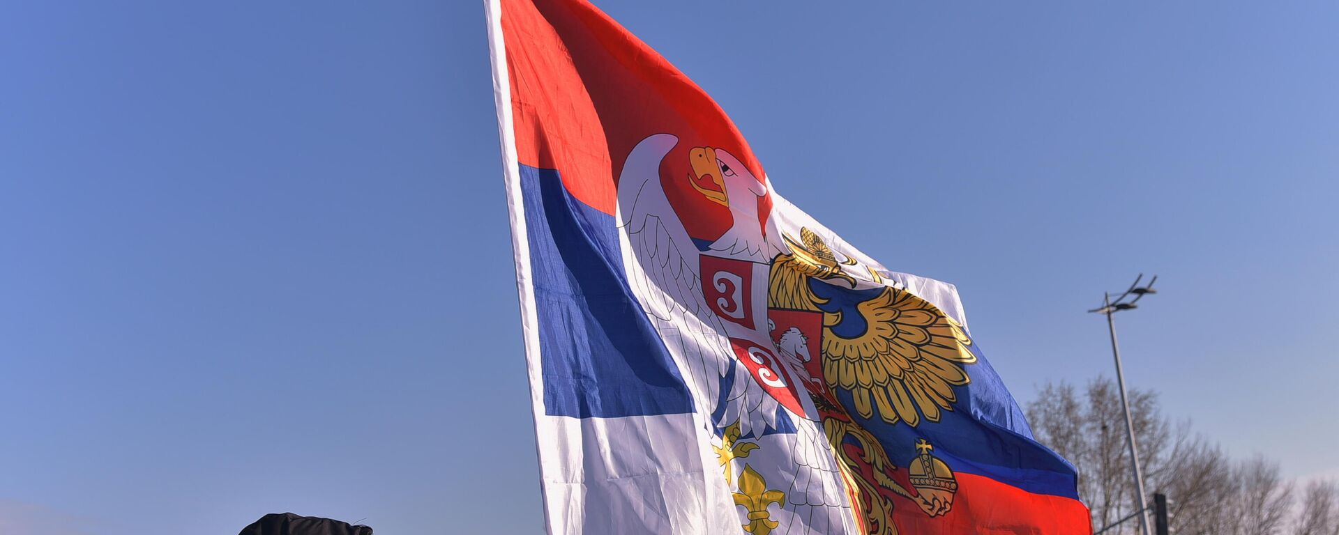 Застава Русија-Србија - Sputnik Србија, 1920, 15.11.2022