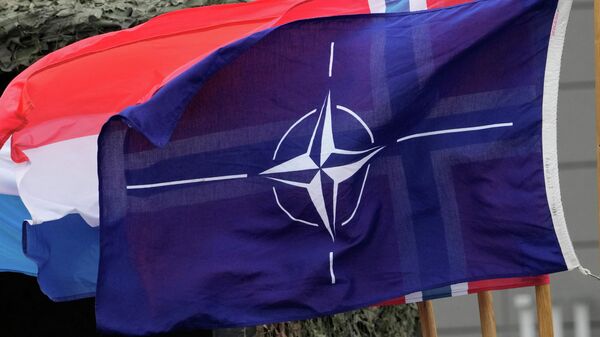 Zastava NATO-a - Sputnik Srbija