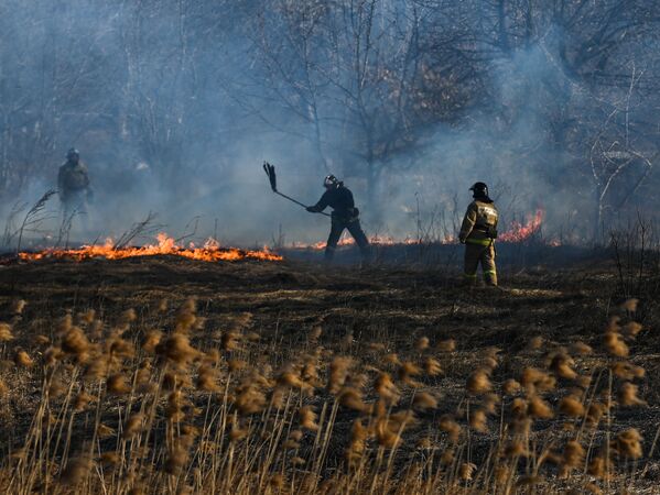 Ватрогасци гасе пожар у Макејевки,  северозападно од Доњецка, Доњецка Народна Република. - Sputnik Србија