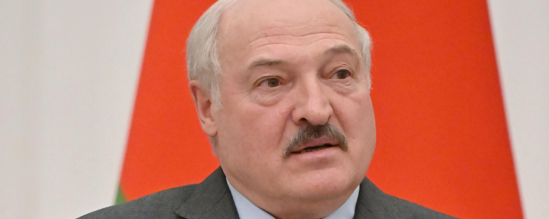 Председник Белорусије Александар Лукашенко - Sputnik Србија, 1920, 31.03.2022