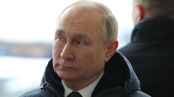 Prezident RF Vladimir Putin  - Sputnik Srbija