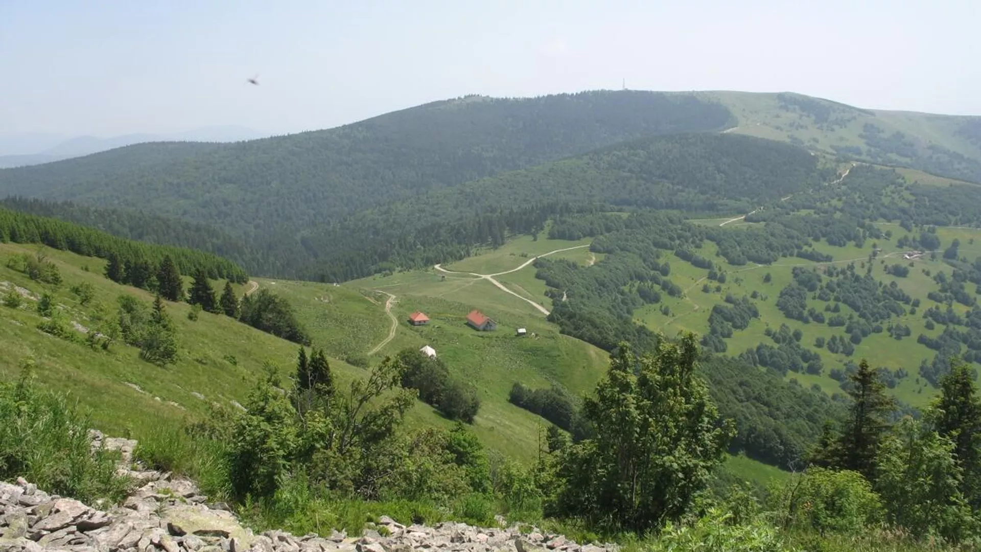 Planina Golija Planina Golija - Sputnik Srbija, 1920, 24.05.2022