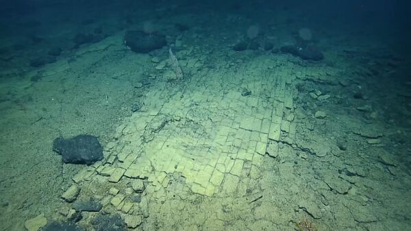 Stenovita formacija na dnu Tihog okeana nalik na put od žute cigle - Sputnik Srbija