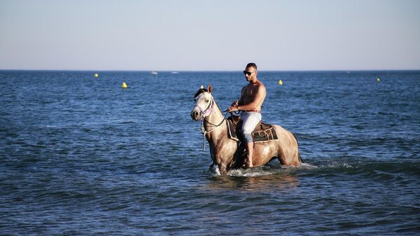 Jahanje konja u moru - Sputnik Srbija