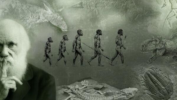 Darvinova evolucija – ilustracija - Sputnik Srbija