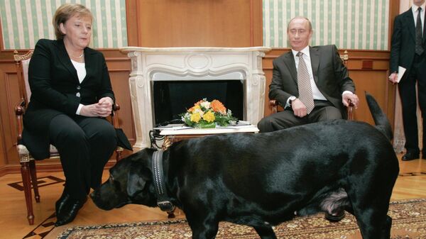 Nemačka kancelarka Angela Merkel i ruski predsednik Vladimir Putin i njegov ljubimac Koni - Sputnik Srbija