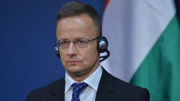 Peter Sijarto - Sputnik Srbija