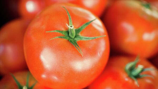 Paradajz - Sputnik Srbija