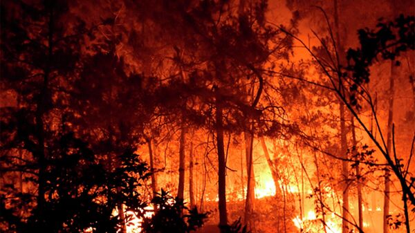 Veliki šumski požar na jugu Francuske - Sputnik Srbija