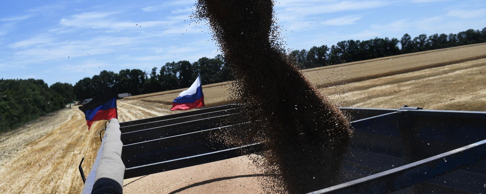Комбајн истоварује пожњевену пшеницу у камион у ДНР - Sputnik Србија, 1920, 17.09.2023