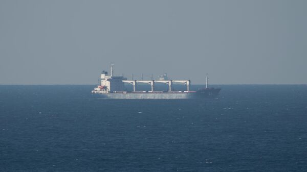 Teretni brod Razoni koji prevozi ukrajinske žitarice, usidren u Istanbulu - Sputnik Srbija