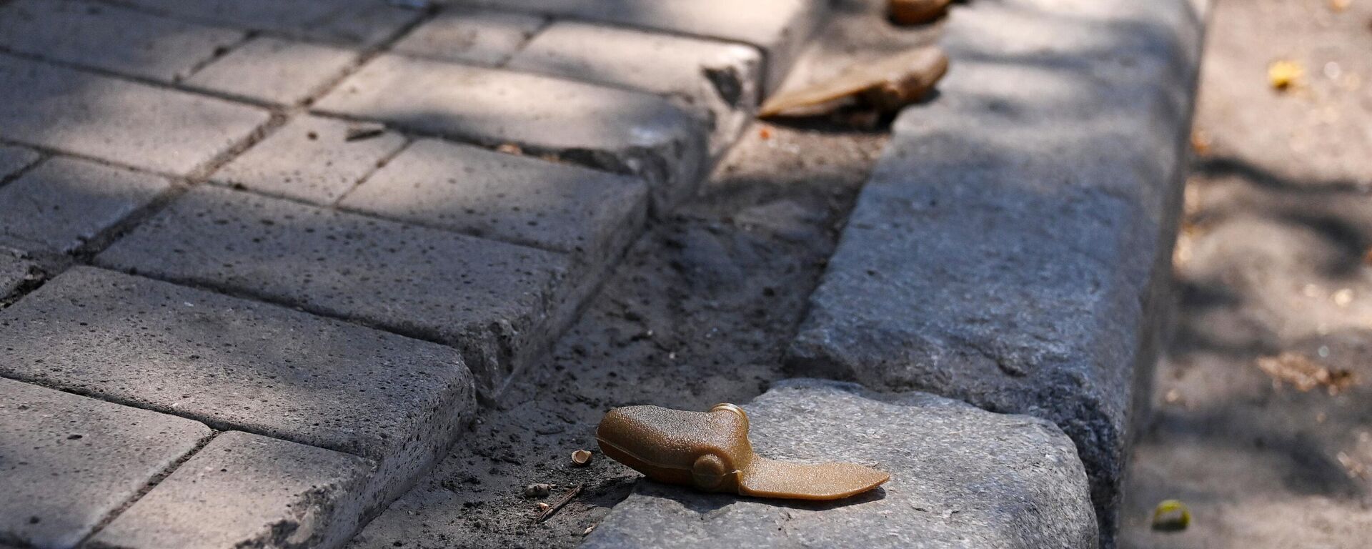 Zabranjene mine latice koje su Ukrajinci bacili na Donjeck - Sputnik Srbija, 1920, 26.11.2024