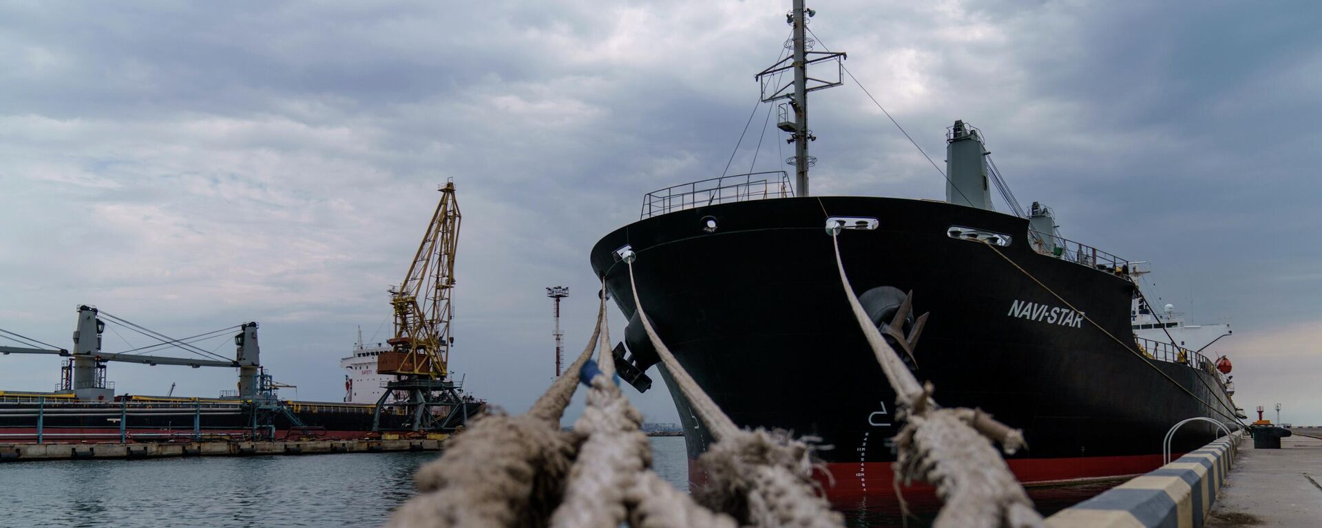 Теретни брод са пшеницом укотвљен у луци у Одеси - Sputnik Србија, 1920, 07.08.2022