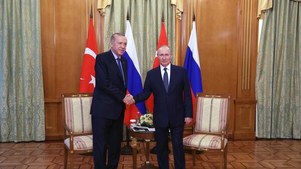 Председници Турске и Русије, Реџеп Тајип Ердоган и Владимир Путин - Sputnik Србија