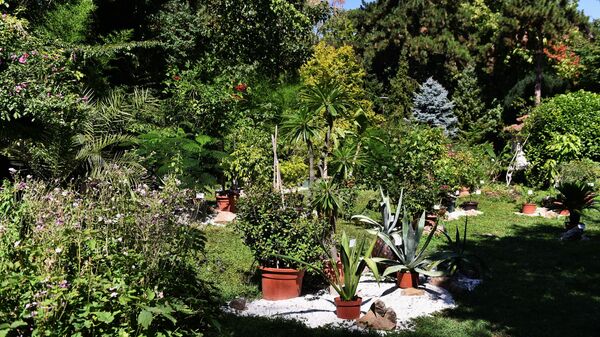 Ботаничка башта “Јевремовац” место је на ком се могу видети биљке и дрвеће из свих крајева света. - Sputnik Србија