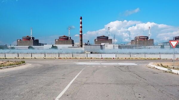 Запорошка нуклеарна електрана - Sputnik Србија