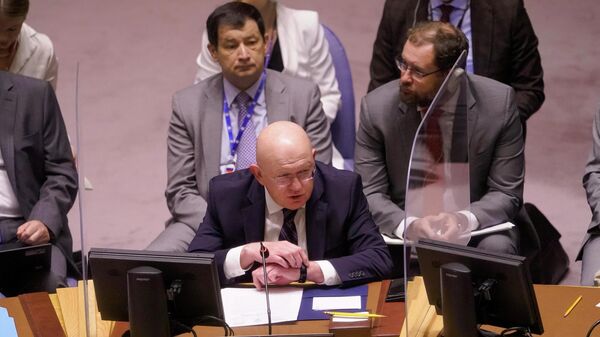 Stalni predstavnik Rusije u UN Vasilij Nebenzja - Sputnik Srbija