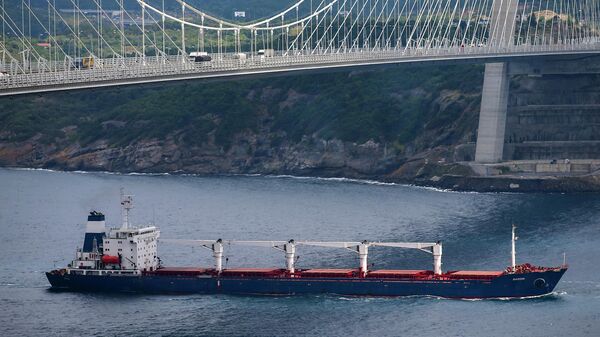 Теретни брод Разони са украјинским житарицама у Истанбулу - Sputnik Србија