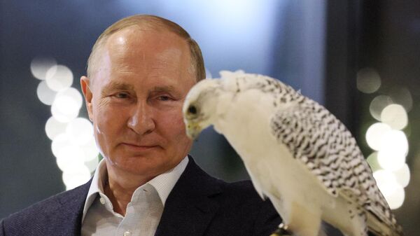 Руски председник Владимир Путин у посети Соколском центру на „Камчатки“ - Sputnik Србија