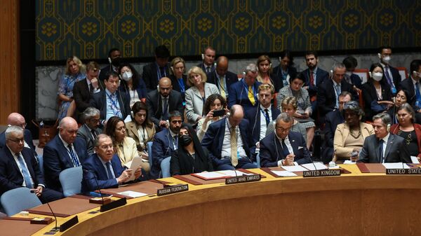 Министар спољних послова Русије Сергреј Лавров на седници Савета безбедности УН у Њујорку - Sputnik Србија