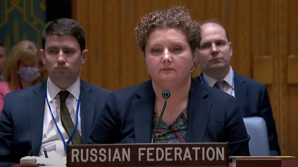 Zamenik stalnog predstavnika Rusije u UN Ana Jevstignejeva - Sputnik Srbija
