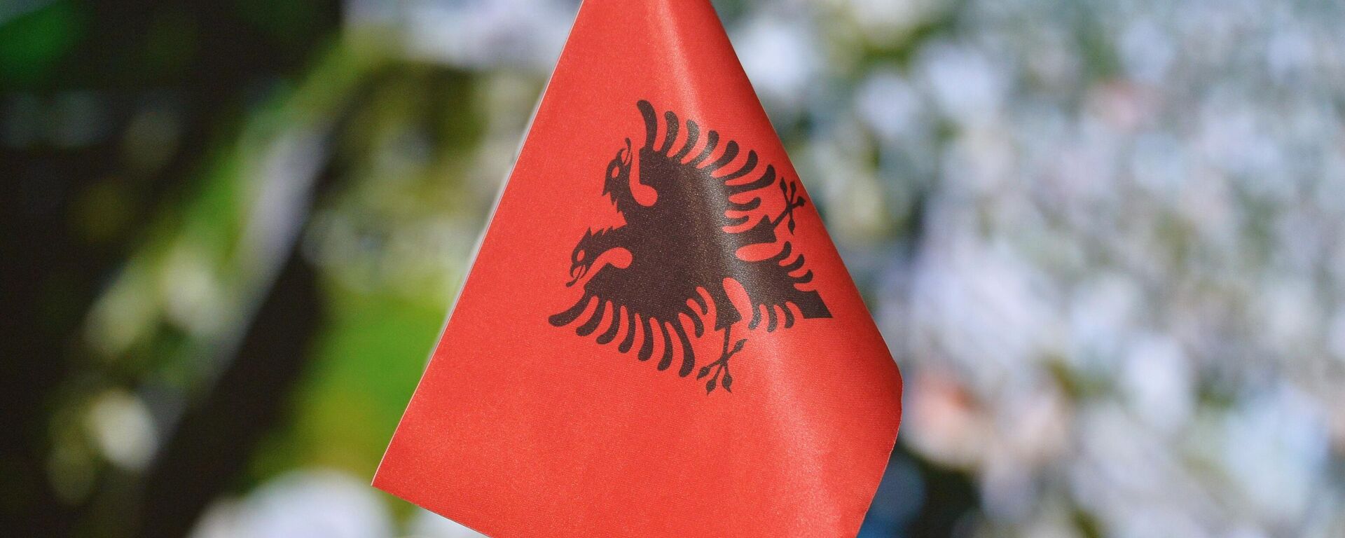 Албанска застава - Sputnik Србија, 1920, 05.05.2023