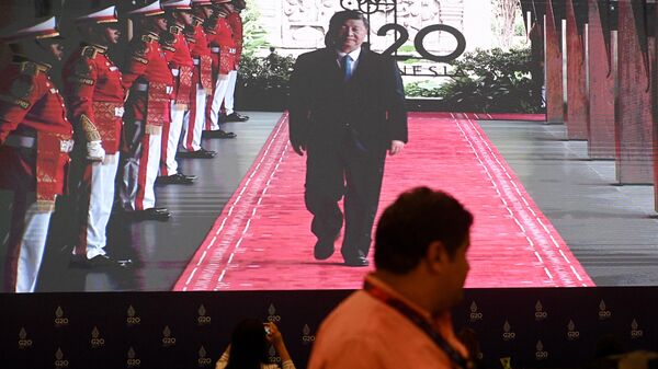 Samit G20 na Baliju - predsednik Kine Si Đinping stiže na samit - Sputnik Srbija