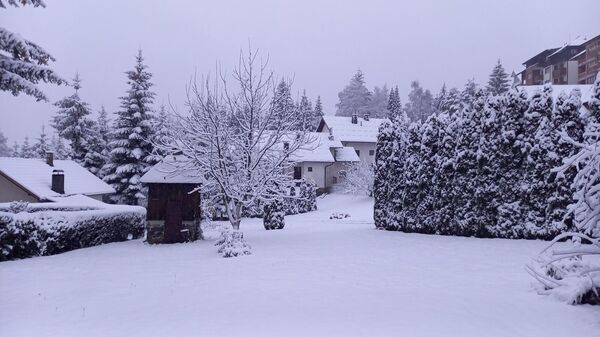 Снег на Златибору - Sputnik Србија