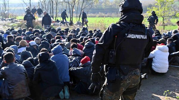 Akcija privođenja migranata u Horgošu - Sputnik Srbija