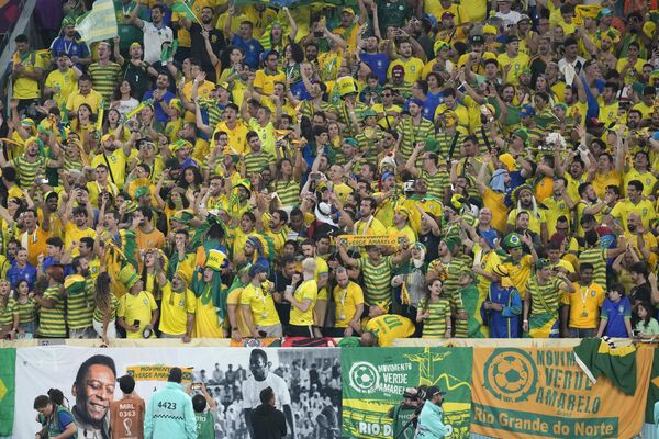 Бразилски навијачи прослављају гол против Јужне Кореје - Sputnik Србија