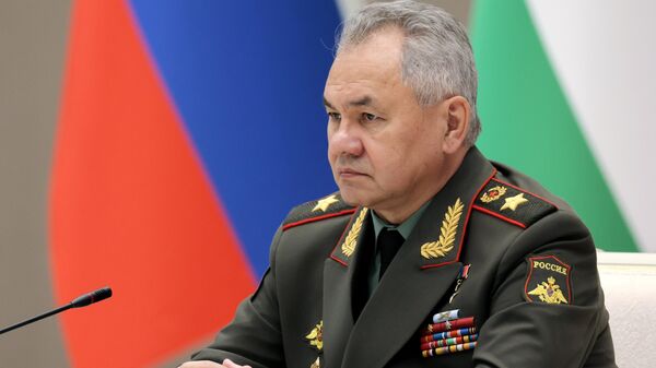 Министар одбране Русије Сергеј Шојгу - Sputnik Србија