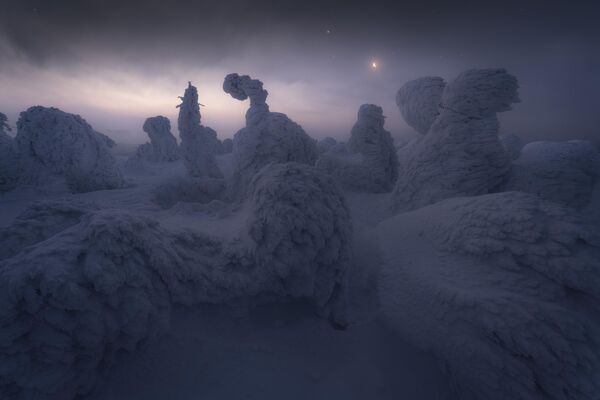 Zaleđena fotografija Koki Dote pobedila je u kategoriji Snežni i ledeni pejzaži. - Sputnik Srbija